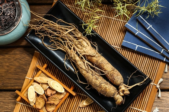 Le ginseng : ses vertus sur votre organisme