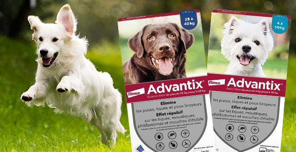 Advantix: highly effective external pest control