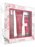 caudalie-rose-de-25524.jpg