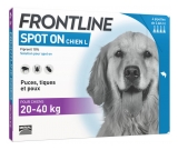Frontline Spot-On Chien L (20-40 kg) 4 Pipettes