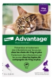 Advantage 80 Antifleas Solution for Cat and Rabbit of 4kg and More 6 Pipettes