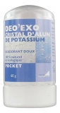Exopharm Deo'Exo Potassium Alum Crystal Pocket 60g