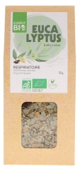 Eucalyptus Feuilles à Infuser Respiratoire Bio 55 g Eucalyptus Feuilles à Infuser Respiratoire Bio 55 g