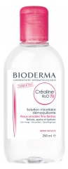 Bioderma Créaline TS H2O Solution Micellaire 250 ml Bioderma Créaline TS H2O Solution Micellaire 250 ml