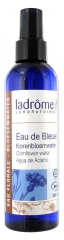 Ladrôme Eau de Bleuet Bio 200 ml Ladrôme Eau de Bleuet Bio 200 ml