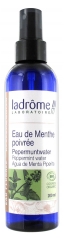 Ladrôme Eau de Menthe Poivrée Bio 200 ml Ladrôme Eau de Menthe Poivrée Bio 200 ml