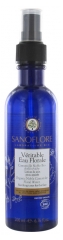 Sanoflore Véritable Eau Florale Camomille Noble Bio 200 ml Sanoflore Véritable Eau Florale Camomille Noble Bio 200 ml