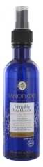 Sanoflore Véritable Eau Florale Fleur d'Oranger Bigaradier Bio 200 ml Sanoflore Véritable Eau Florale Fleur d'Oranger Bigaradier Bio 200 ml