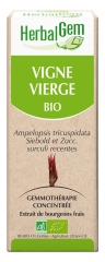 HerbalGem Bio Vigne Vierge 30 ml HerbalGem Bio Vigne Vierge 30 ml