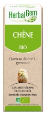 HerbalGem Bio Chêne 30 ml HerbalGem Bio Chêne 30 ml