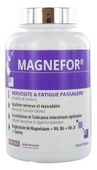 Ineldea Magnefor 120 Gélules Végétales Ineldea Magnefor 120 Gélules Végétales