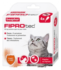 Beaphar Fiprotec 50mg Spot-on Solution Cats 4 Pipettes of 0,50ml Beaphar Fiprotec 50mg Spot-on Solution Cats 4 Pipettes of 0,50ml