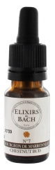 Elixirs & Co Elixirs De Bach N°7 Bourgeon De Marronnier 10 ml Elixirs & Co Elixirs De Bach N°7 Bourgeon De Marronnier 10 ml