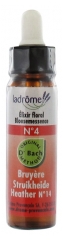 Ladrôme Fleurs De Bach Elixir Floral N°4 : Bruyère 10 ml Ladrôme Fleurs De Bach Elixir Floral N°4 : Bruyère 10 ml