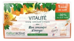 Naturactive Vitalité Stick Fluide Lot de 2 x 15 Sticks Naturactive Vitalité Stick Fluide Lot de 2 x 15 Sticks