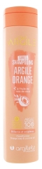 Argiletz Coeur d'Argile Conditionner Orange Clay 200ml Argiletz Coeur d'Argile Conditionner Orange Clay 200ml