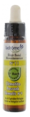 Ladrôme Bachblütenelexier Blütenessenz Nr. 11 : Klematis 10 ml Ladrôme Bachblütenelexier Blütenessenz Nr. 11 : Klematis 10 ml