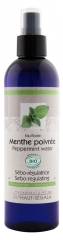 Laboratoire du Haut-Ségala Agua Floral de Menta Orgánica 250 ml Laboratoire du Haut-Ségala Agua Floral de Menta Orgánica 250 ml