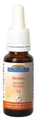 Biofloral Fleurs de Bach Force Volonté Gentiane n°12 Bio 20 ml Biofloral Fleurs de Bach Force Volonté Gentiane n°12 Bio 20 ml