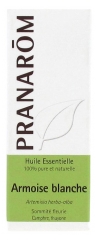 Pranarôm Huile Essentielle Armoise Blanche (Artemisia herba-alba) 10 ml Pranarôm Huile Essentielle Armoise Blanche (Artemisia herba-alba) 10 ml