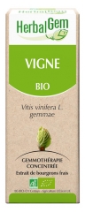 HerbalGem Bio-Reben 30 ml HerbalGem Bio-Reben 30 ml