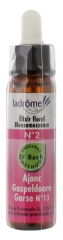 Ladrôme Bachblütenelexier Blütenessenz Nr. 2 : Stechginster 10 ml Ladrôme Bachblütenelexier Blütenessenz Nr. 2 : Stechginster 10 ml