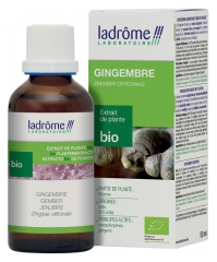 Ladrôme Extrait de Plante Bio Gingembre 50 ml Ladrôme Extrait de Plante Bio Gingembre 50 ml