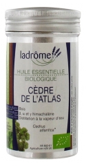 Ladrôme Huile Essentielle Biologique Cèdre de l'Atlas (Cedrus atlantica) 10 ml Ladrôme Huile Essentielle Biologique Cèdre de l'Atlas (Cedrus atlantica) 10 ml