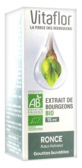 Vitaflor Extrait de Bourgeons Bio Ronce 15 ml Vitaflor Extrait de Bourgeons Bio Ronce 15 ml