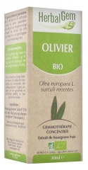 HerbalGem Bio Olivier 30 ml HerbalGem Bio Olivier 30 ml