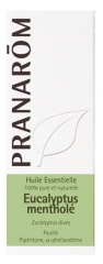 Pranarôm Eukalyptus Menthol Ätherisches Öl (Eucalyptus dives) 10 ml Pranarôm Eukalyptus Menthol Ätherisches Öl (Eucalyptus dives) 10 ml