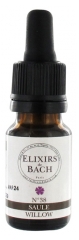 Elixirs & Co Bachblüten-Elixier Nr. 38 Weide 10 ml Elixirs & Co Bachblüten-Elixier Nr. 38 Weide 10 ml