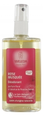 Weleda Hagebuttendeodorant 100 ml Weleda Hagebuttendeodorant 100 ml