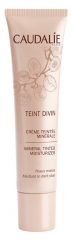 Caudalie Teint Divin Crème Teintée Minérale 30 ml Caudalie Teint Divin Crème Teintée Minérale 30 ml