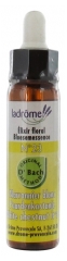 Ladrôme Flower of Bach Floral Elixir No35 : White Chestnut 10ml Ladrôme Flower of Bach Floral Elixir No35 : White Chestnut 10ml