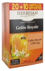 Herbesan Gelée Royale 1500 mg 20 Ampoules + 10 Offertes Herbesan Gelée Royale 1500 mg 20 Ampoules + 10 Offertes