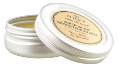 Nuxe Rêve de Miel Super Baume Réparateur au Miel 40 ml Nuxe Rêve de Miel Super Baume Réparateur au Miel 40 ml