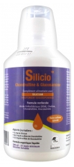 Phytoresearch Silicio Chondroïtine & Glucosamine 500 ml Phytoresearch Silicio Chondroïtine & Glucosamine 500 ml