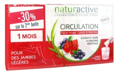 Naturactive Circulation Stick Fluide Lot de 2 x 15 Sticks Naturactive Circulation Stick Fluide Lot de 2 x 15 Sticks