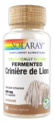 Solaray Crinière de Lion 500 mg 60 Capsules Végétales Solaray Crinière de Lion 500 mg 60 Capsules Végétales