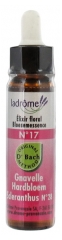 Ladrôme Flower of Bach Floral Elixir No28 : Scleranthus 10ml Ladrôme Flower of Bach Floral Elixir No28 : Scleranthus 10ml