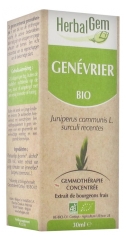 HerbalGem Bio Genévrier 30 ml HerbalGem Bio Genévrier 30 ml