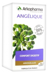 Arkopharma Arkogélules Angélique 45 gélules Arkopharma Arkogélules Angélique 45 gélules