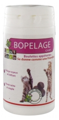Leaf Care Fellpflege Katzenhäppchen 40 g Leaf Care Fellpflege Katzenhäppchen 40 g