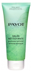 Payot Pâte Grise Gelée Nettoyante Gel Moussant Perfecteur 200 ml Payot Pâte Grise Gelée Nettoyante Gel Moussant Perfecteur 200 ml