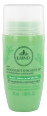 Laino Déodorant Efficacité 24H Extrait de Thé Vert Bio 50 ml Laino Déodorant Efficacité 24H Extrait de Thé Vert Bio 50 ml