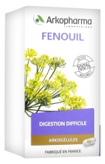 Arkopharma Arkogélules Fenouil 45 Gélules Arkopharma Arkogélules Fenouil 45 Gélules