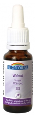 Biofloral Bachblüten Gleichgewicht Ruhe Walnuss Nr. 33 Bio 20 ml Biofloral Bachblüten Gleichgewicht Ruhe Walnuss Nr. 33 Bio 20 ml