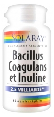 Solaray Bacillus Coagulans and Inulin 2,5 Billion 60 Vegetable Gel-Caps Solaray Bacillus Coagulans and Inulin 2,5 Billion 60 Vegetable Gel-Caps