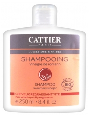 Cattier Shampoo für schnell fettige Haare Rosmarinessig 250 ml Cattier Shampoo für schnell fettige Haare Rosmarinessig 250 ml